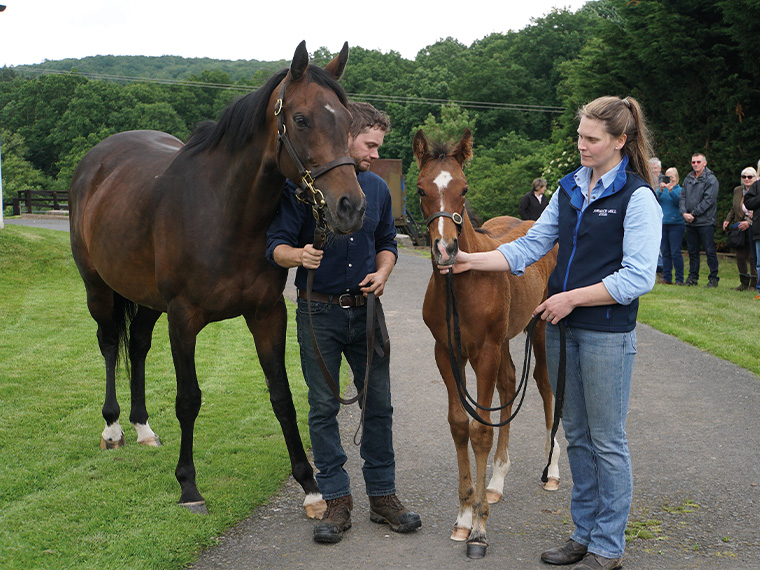 Miranda and 2024 filly