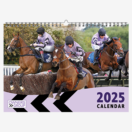 Owners Group 2025 Calendar