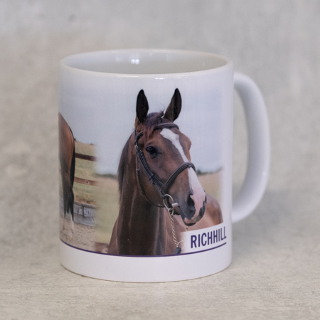 Richhill Mug - A